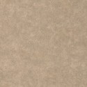 Caselio|Brown and gold textured wall effect wallpaper|Stucco Imitation