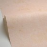 Caselio|Dusty pink wall effect wallpaper|Stucco Imitation