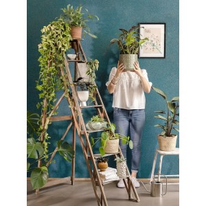 Papeldecor|Tapete japanischer Baum mit kleinen silbernen Blumen|Tapeten 2
