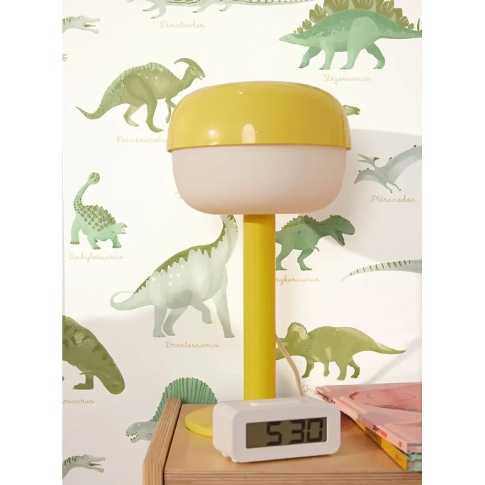 Caselio|Papier peint enfant différentes espèces de dinosaures|Enfants