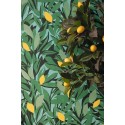 Caselio|Papel pintado floral, limonero verde|Papel Pintado