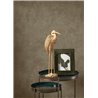 Casadeco|Papier peint effet vieilli ou patine marron truffe|Papier Peint