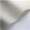 Casadeco|Papier peint stucco avec effet vieilli vert matcha|Papier Peint