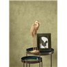 Casadeco|Plain wallpaper with laurel green stucco effect|Wallpaper