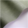 Casadeco|Faux plain wallpaper with rosemary green stucco|Wallpaper