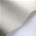 Casadeco|Papier peint uni gris clair avec effet vieilli|Papier Peint