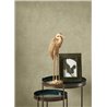 Casadeco|Plain wallpaper with clay grey stucco effect|Wallpaper