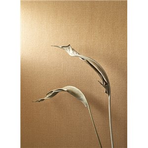 Casadeco|Papier peint rayures fines gris et blanc nacré|Rayures 2