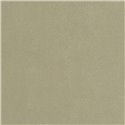 Casadeco|Papel pintado moderno con hojas en relieve verde liquen|Moderno