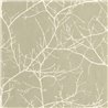 Casadeco|Papier peint avec branches d’arbres dénudées vert style nordique|Scandinave