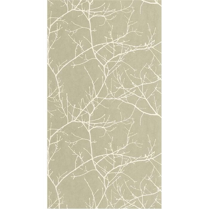 Casadeco|Papier peint avec branches d’arbres dénudées vert style nordique|Scandinave