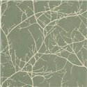 Casadeco|Papier peint style nordique avec arbres dénudés vert eucalyptus|Floral