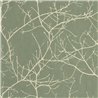 Casadeco|Papier peint style nordique avec arbres dénudés vert eucalyptus|Floral