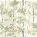 Casadeco|Nordic-style wallpaper with green birch forest|Wallpaper