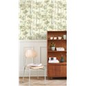 Casadeco|Nordic-style wallpaper with green birch forest|Wallpaper