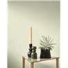 Casadeco|Realistic green almond muslin fabric wallpaper|Solid Colors