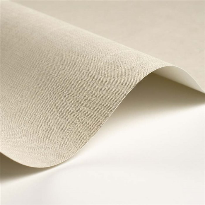 Casadeco|Papier peint minimaliste effet textile gris clair|Couleurs Unies