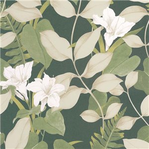 Casadeco|Papier peint floral moderne avec lys asiatiques noirs|Floral