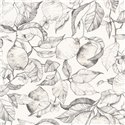 Casadeco|Papier peint floral noir et blanc avec gravure de citronnier|Floral