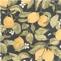 Casadeco|Papier peint avec fleurs de citronnier et citrons jaunes sur fond noir|Floral