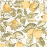 Casadeco|Papier peint floral avec citrons, idéal pour cuisine|Floral