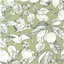 Papel pintado floral con limonero en flor verde - Casadeco Soliflore 200277313