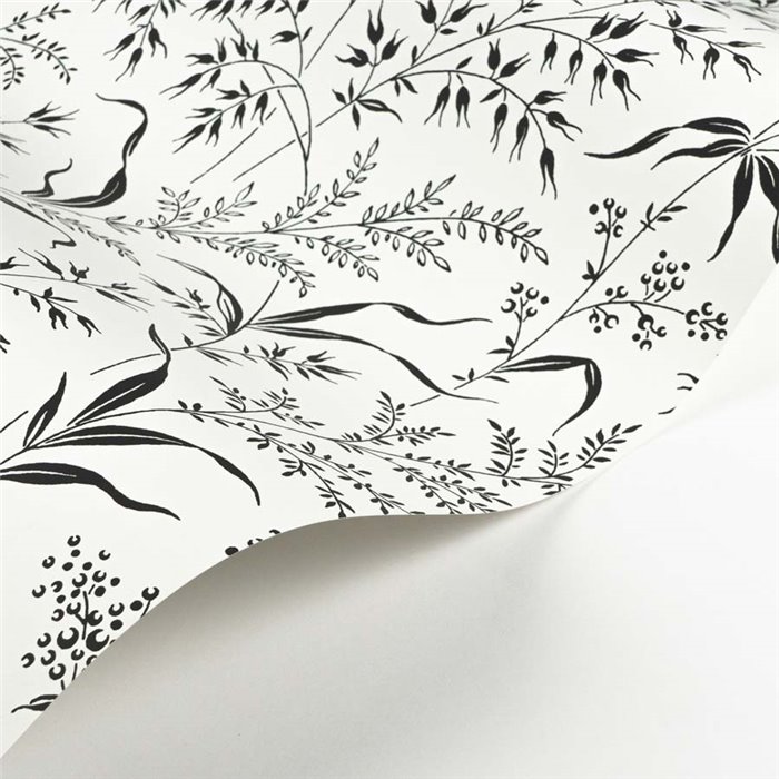 Casadeco|Papier peint plantes sauvages blanches avec brize, dauphinelle et fléole|Floral