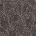Papeldecor|Papier peint moderne fleurs marron et noir|Papier Peint