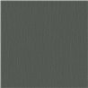 Papeldecor|Plain Striped Anthracite and Gray Wallpaper|Solid Colors