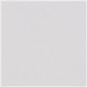 Papeldecor|Papier peint uni rayé gris clair|Couleurs Unies