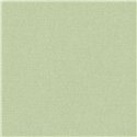 Papeldecor|Papier peint uni texturé vert|Couleurs Unies