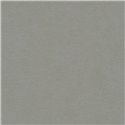 Papeldecor|Timeless Stucco Effect Gray Wallpaper|Wallpaper