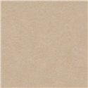 Papeldecor|Papier peint stuc beige clair|Imitation Bois
