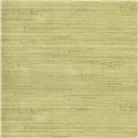 Eijffinger|Wallcovering natural fibre knotted weave light green tropical|Wall Coverings