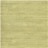 Eijffinger|Wallcovering natural fibre knotted weave light green tropical|Wall Coverings