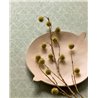 Eijffinger|Glam Chic Tapete mit grünen Muscheln|Tapeten