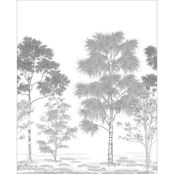 Caselio|Mural pared grabados de árboles blanco negro Caselio|Murales de Pared