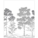 Caselio|Papier peint panoramique gravures d’arbres noir blanc Caselio|Panoramiques