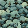 Caselio|Papier peint forêt aquarelle vert émeraude|Floral