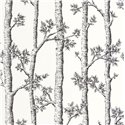 Caselio|Papier peint arbres noir et blanc, style scandinave|Floral