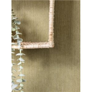 Rasch|Tapete Zement Beton grau raue Struktur|Tapeten 2