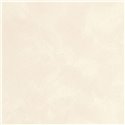 Caselio|Papier peint stuqué, effet chaux blanc|Papier Peint