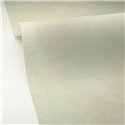 Caselio|Papier peint stuqué vert d’eau effet chaux|Imitation Stuc