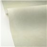 Caselio|Aqua green stucco limewash wallpaper|Stucco Imitation