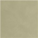 Caselio|Gray-green stucco limewash wallpaper|Wallpaper