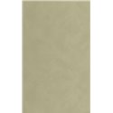 Caselio|Gray-green stucco limewash wallpaper|Wallpaper