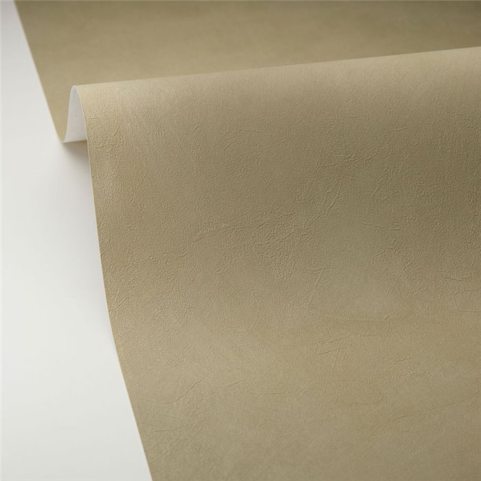 Caselio|Papier peint stuqué vert-gris effet chaux|Papier Peint