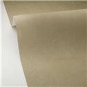 Caselio|Papier peint stuqué vert-gris effet chaux|Papier Peint