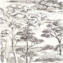 Casadeco|Papier peint paysage avec pins noir et blanc style méditerranéen|Floral