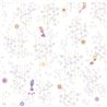 Casadeco|Papier peint enfant oiseaux exotiques et fleurs violet pastel|Enfants